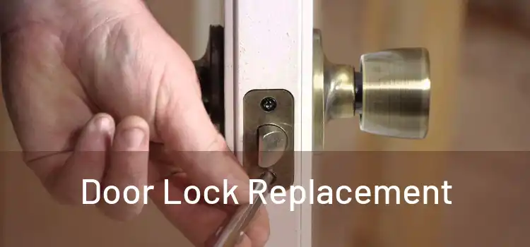  Door Lock Replacement 